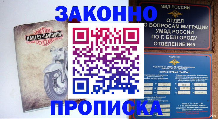 прописка для школы в Заинске